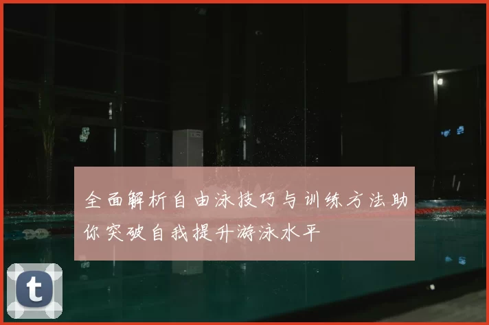 全面解析自由泳技巧与训练方法助你突破自我提升游泳水平