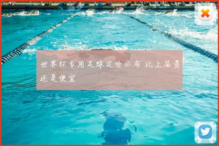 世界杯专用足球定价公布 比上届贵还是便宜