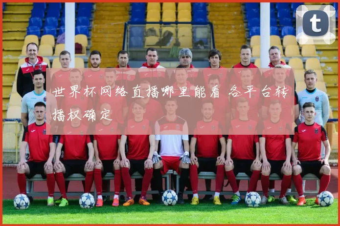 世界杯网络直播哪里能看 各平台转播权确定