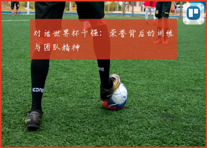 对话世界杯十强:荣誉背后的训练与团队精神