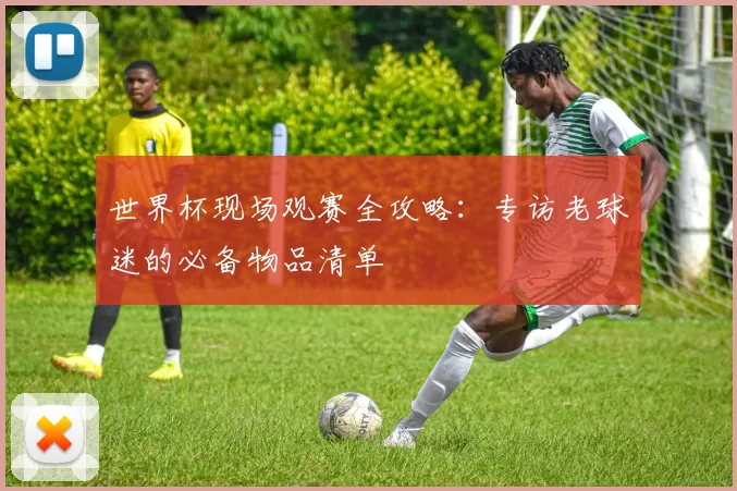 世界杯现场观赛全攻略:专访老球迷的必备物品清单