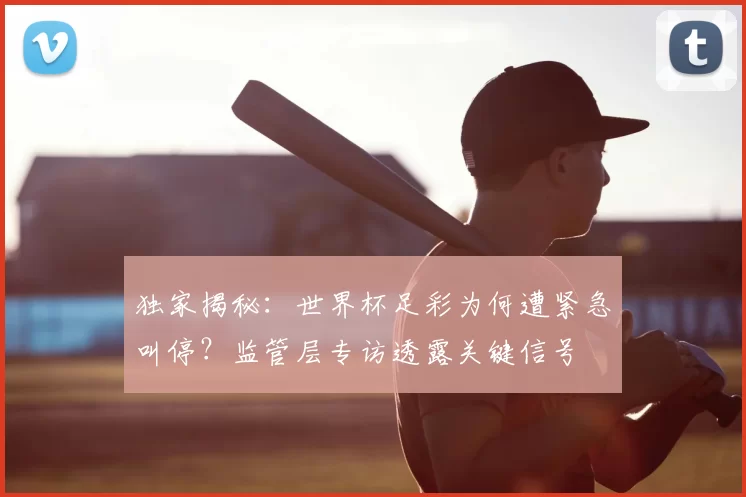 独家揭秘:世界杯足彩为何遭紧急叫停?监管层专访透露关键信号