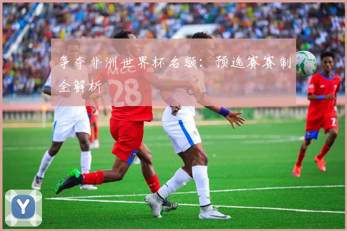 争夺非洲世界杯名额:预选赛赛制全解析