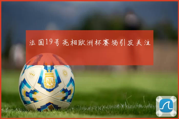 法国19号亮相欧洲杯赛场引发关注