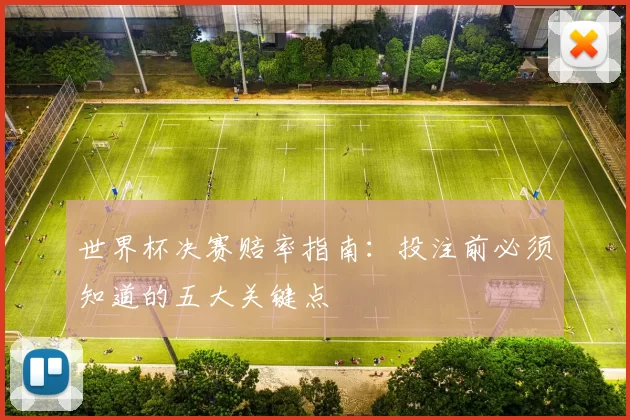 世界杯决赛赔率指南:投注前必须知道的五大关键点