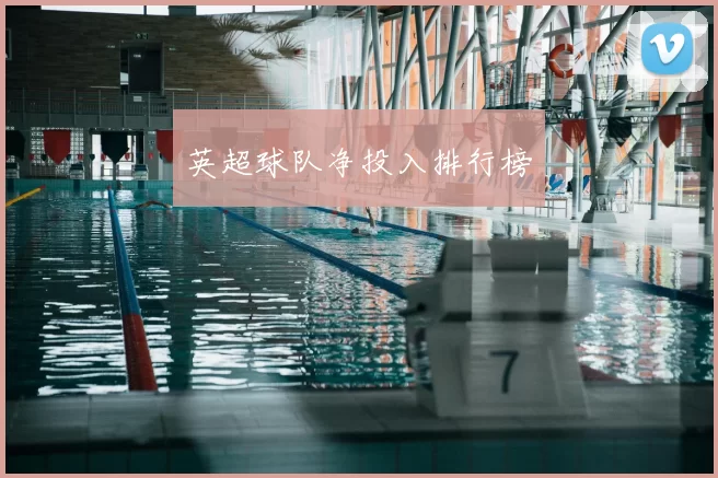 英超球队净投入排行榜