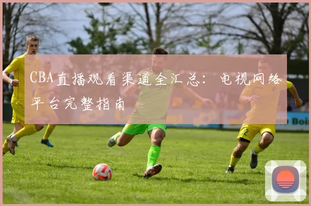 CBA直播观看渠道全汇总:电视网络平台完整指南