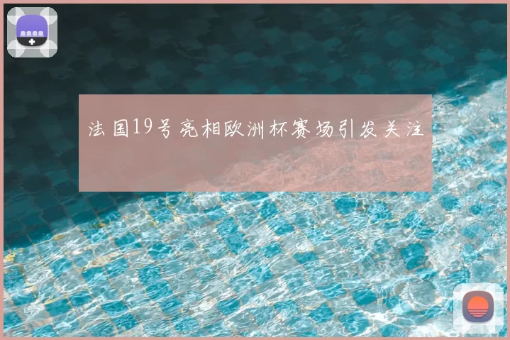 法国19号亮相欧洲杯赛场引发关注