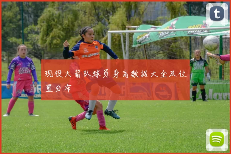 现役火箭队球员身高数据大全及位置分布