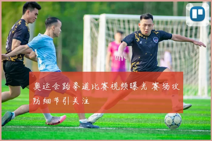 奥运会跆拳道比赛视频曝光 赛场攻防细节引关注