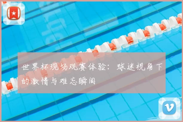 世界杯现场观赛体验:球迷视角下的激情与难忘瞬间