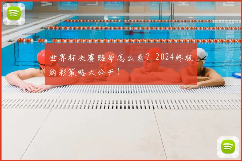世界杯决赛赔率怎么看?2024终极购彩策略大公开!