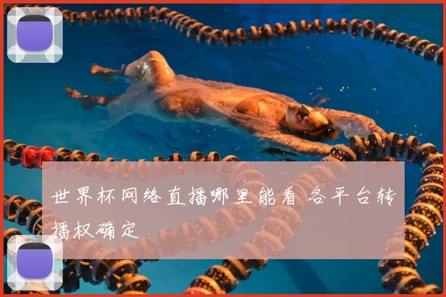 世界杯网络直播哪里能看 各平台转播权确定