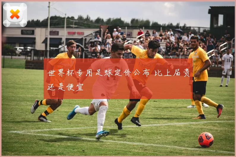 世界杯专用足球定价公布 比上届贵还是便宜