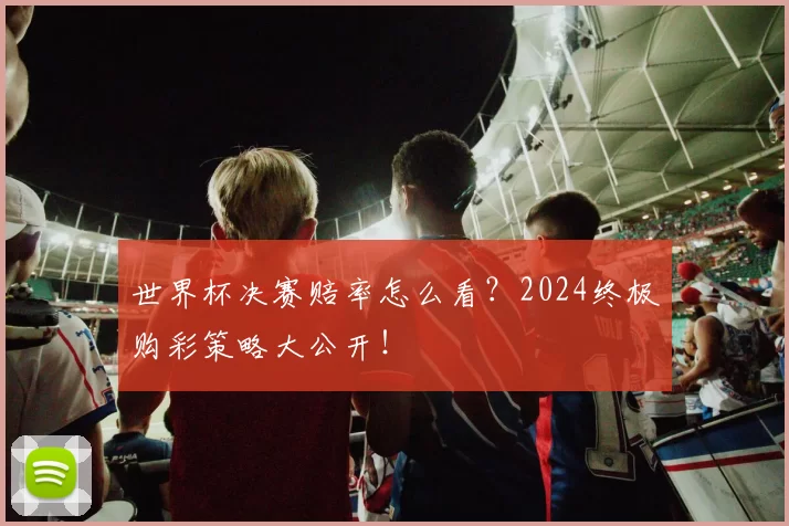 世界杯决赛赔率怎么看?2024终极购彩策略大公开!