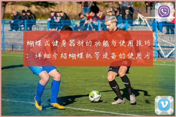 蝴蝶式健身器材的功能与使用技巧：详细介绍蝴蝶机等设备的使用方法与效果