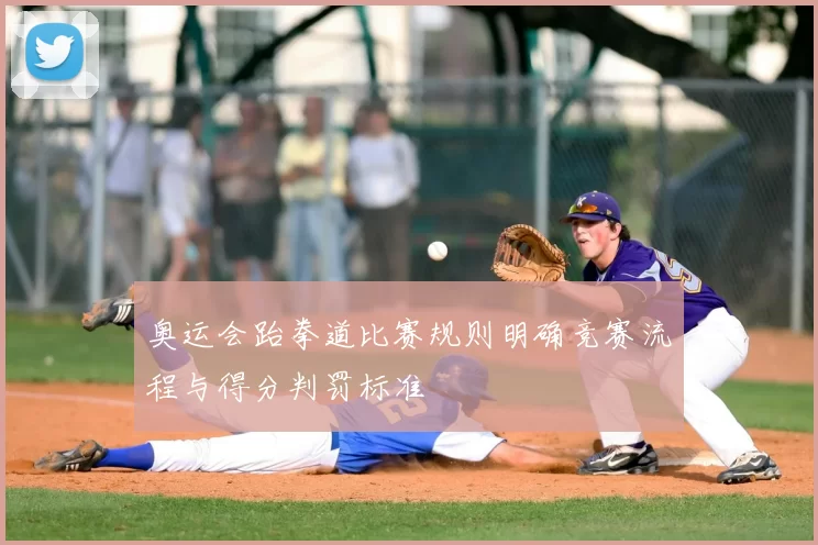奥运会跆拳道比赛规则明确竞赛流程与得分判罚标准