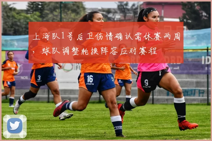 上海队1号后卫伤情确认需休赛两周,球队调整轮换阵容应对赛程