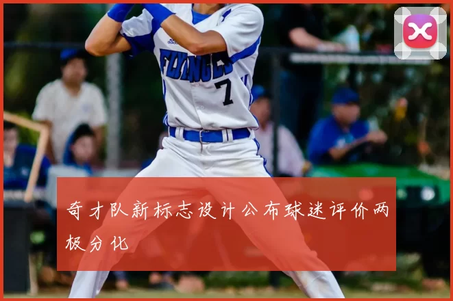 奇才队新标志设计公布球迷评价两极分化