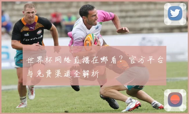 世界杯网络直播在哪看?官方平台与免费渠道全解析